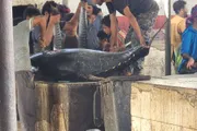 اخبار اليمن الان الحدث اليوم عاجل كريتر إسكاي