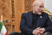 اخبار اليمن الان الحدث اليوم عاجل السلام نيوز