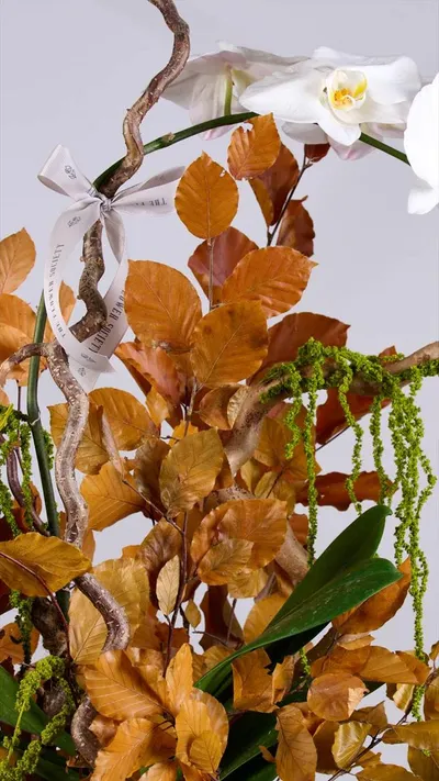 اخبار اليمن الان flower society تستقبل الخريف مستوحاة اخبار اليمن الان الحدث اليوم عاجل