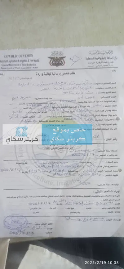 اخبار اليمن الان وثائق الدقيقة الموقوفة وتدشين لايقافها اخبار اليمن الان الحدث اليوم عاجل