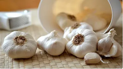 اخبار اليمن الان كبسولات الثوم والكركم الجلطات النمر اخبار اليمن الان الحدث اليوم عاجل
