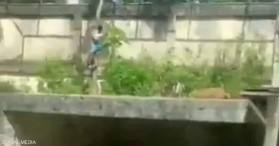 اخبار اليمن الان مأساوية برازيلي افترسته حديقة حيوانات اخبار اليمن الان الحدث اليوم عاجل