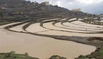 اخبار اليمن الان الحدث اليوم عاجل 