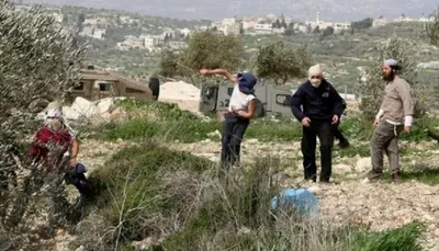 اخبار اليمن الان مستوطنون يقتحمون محيط مساكن الحمص اخبار اليمن الان الحدث اليوم عاجل