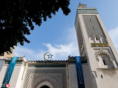 اخبار اليمن الان الديوك فرنسية المنتجات الإسبانية رياضية اخبار اليمن الان الحدث اليوم عاجل