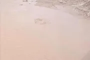 اخبار اليمن الان الحدث اليوم عاجل كريتر إسكاي