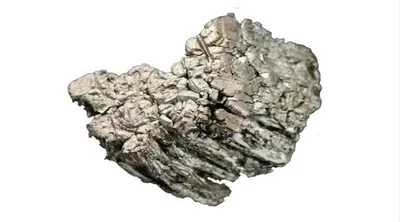 اخبار اليمن الان اكتشاف الأبيض الطائرات والمركبات الفضائية اخبار اليمن الان الحدث اليوم عاجل