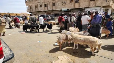 اخبار اليمن الان فضيحة إخوان اليمن فقراء أضاحي اخبار اليمن الان الحدث اليوم عاجل