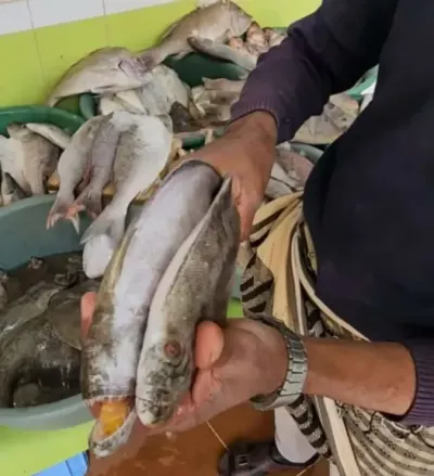 اخبار اليمن الان صنعاء الجدل بعرضه انقسمت بنصفين اخبار اليمن الان الحدث اليوم عاجل