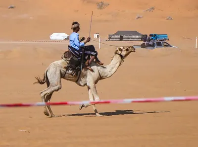 اخبار اليمن الان اختتام لمهرجان لسباقات وتتويج المطهري اخبار اليمن الان الحدث اليوم عاجل