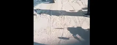 اخبار اليمن الان مشروع بتكلفة استياء المواطنين الكارثة اخبار اليمن الان الحدث اليوم عاجل