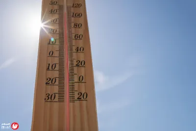 اخبار اليمن الان كارلسون التغيير احتكار السياسي الأميركي اخبار اليمن الان الحدث اليوم عاجل