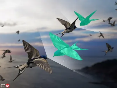 اخبار اليمن الان مأساوي ولاية تساؤلات السيطرة المركبة اخبار اليمن الان الحدث اليوم عاجل