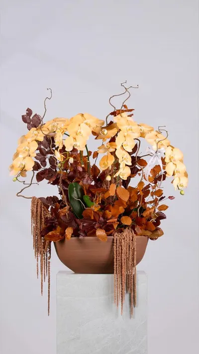 اخبار اليمن الان flower society تستقبل الخريف مستوحاة اخبار اليمن الان الحدث اليوم عاجل