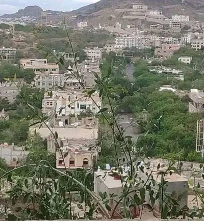 اخبار اليمن الان الحدث اليوم عاجل 