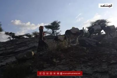 اخبار اليمن الان الحدث اليوم عاجل 