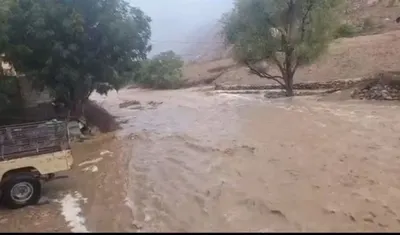 اخبار اليمن الان أمطار تشهدها مساحات الأراضي الزراعية اخبار اليمن الان الحدث اليوم عاجل