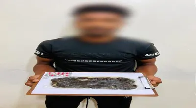 اخبار اليمن الان مكافحة المخدرات وبحوزته الحشيش المخدر اخبار اليمن الان الحدث اليوم عاجل