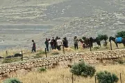 اخبار اليمن الان الحدث اليوم عاجل وكالة الصحافة اليمنية