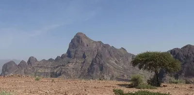 اخبار اليمن الان فاجعة مؤلمة مصرعه سقوطا الأغنام اخبار اليمن الان الحدث اليوم عاجل