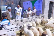 اخبار اليمن الان الحدث اليوم عاجل صحيفة الثورة صنعاء