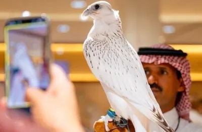 اخبار اليمن الان الأرقام ويصبح تاريخ المزادات السعودية اخبار اليمن الان الحدث اليوم عاجل