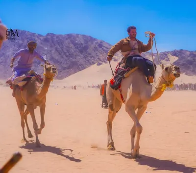 اخبار اليمن الان اختتام لمهرجان لسباقات وتتويج المطهري اخبار اليمن الان الحدث اليوم عاجل