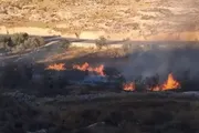 صحيفة الثورة صنعاء اخبار اليمن الان مقاومة الجدار والاستيطان المستوطنون الصهاينة اخبار اليمن الان الحدث اليوم عاجل صحيفة الثورة صنعاء
