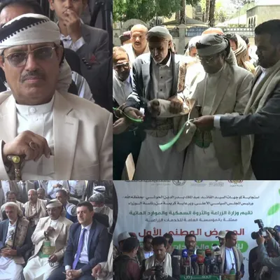 اخبار اليمن الان تزال وكالة رسمية تحولت قطاع اخبار اليمن الان الحدث اليوم عاجل