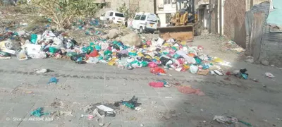 اخبار اليمن الان بالصور حملة صباحية لرفع النفايات اخبار اليمن الان الحدث اليوم عاجل