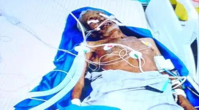 اخبار اليمن الان اعتداء الحديدة بزعم الإفطار وفاته اخبار اليمن الان الحدث اليوم عاجل