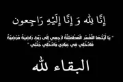 صحيفة المرصد اخبار اليمن الان النقل الخطوط الجوية اليمنية بوفاة اخبار اليمن الان الحدث اليوم عاجل صحيفة المرصد