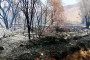 عدن تايم اخبار اليمن الان مسؤول يكشف أسباب الحريق الكبير اخبار اليمن الان الحدث اليوم عاجل عدن تايم