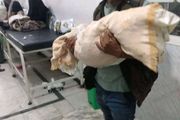 صفية ماتت على باب العناية المركزة كون والدها...