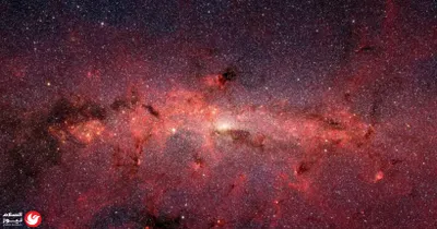 اخبار اليمن الان بأسلوب هنيدي وقيادته للأرجنتين النهائي اخبار اليمن الان الحدث اليوم عاجل