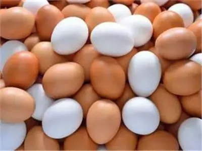 اخبار اليمن الان الإثنين استقرار والأحمر الزراعة تخفيضات اخبار اليمن الان الحدث اليوم عاجل