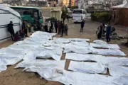 صحيفة الثورة صنعاء اخبار اليمن الان عدد73 246شهيدا جريحا الإبادة الصهيونية اخبار اليمن الان الحدث اليوم عاجل صحيفة الثورة صنعاء