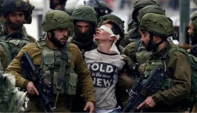 اخبار اليمن الان هيومن رايتس الأكثر لأطفال فلسطين اخبار اليمن الان الحدث اليوم عاجل