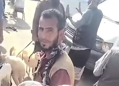 اخبار اليمن الان الكيلو اللحم ب٧ اخبار اليمن الان الحدث اليوم عاجل