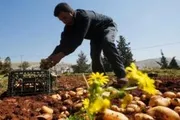 اخبار اليمن الان الحدث اليوم عاجل صحيفة الثورة صنعاء