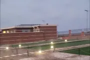وكالة الصحافة اليمنية اخبار اليمن الان وثائق يغتصبون يتيمة الحزام الأمني اخبار اليمن الان الحدث اليوم عاجل وكالة الصحافة اليمنية