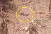 وكالة الصحافة اليمنية اخبار اليمن الان العثور مواطن الهوية مقتولا الشمايتين اخبار اليمن الان الحدث اليوم عاجل وكالة الصحافة اليمنية