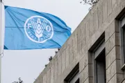 صحيفة الثورة صنعاء اخبار اليمن الان الفاو تراجع الأسمدة العالمية الأوسط اخبار اليمن الان الحدث اليوم عاجل صحيفة الثورة صنعاء