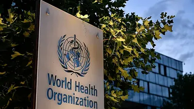 اخبار اليمن الان منظمة العالمية الحالات العصبية العالم اخبار اليمن الان الحدث اليوم عاجل