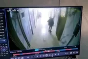 كريتر إسكاي اخبار اليمن الان تحرك وزوجته اثناء سباحتهم صنعاء اخبار اليمن الان الحدث اليوم عاجل كريتر إسكاي