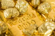 عرب تايم اخبار اليمن الان فيديليتي تضاعف حيازاتها بسياسة الفيدرالي اخبار اليمن الان الحدث اليوم عاجل عرب تايم