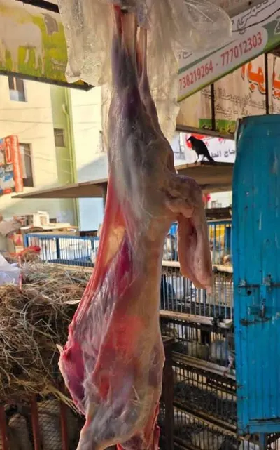 اخبار اليمن الان الحدث اليوم عاجل 