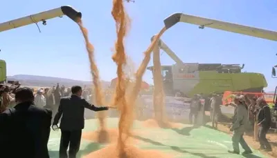 اخبار اليمن الان منظمة دولية ادعاءات الحبوب تفاصيل اخبار اليمن الان الحدث اليوم عاجل