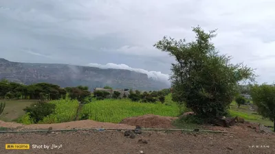 اخبار اليمن الان درجات الحرارة المتوقعة اليمن الخامس اخبار اليمن الان الحدث اليوم عاجل