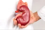 اخبار اليمن الان الحدث اليوم عاجل عدن تايم